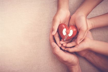 8 Golden Rules – What Can You Do For Your Kidneys?