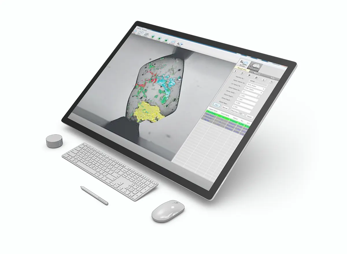 Auto-inclusion detection system