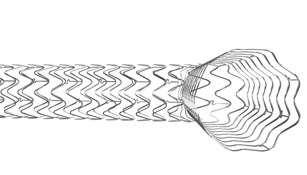 Everpro Cobalt Chromium Everolimus Eluting Coronary Stent System