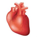 Surat, the heart of India’s stent market