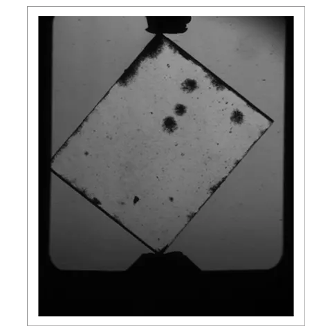 CVD Inclusion Detection